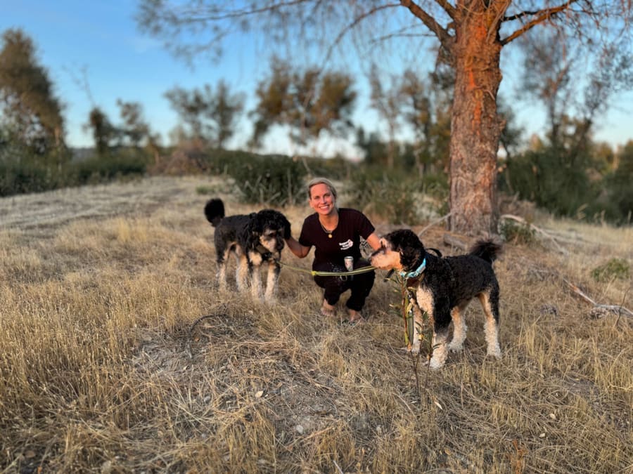 Elisabeth crouching in a golden field between two curly-haired doodles