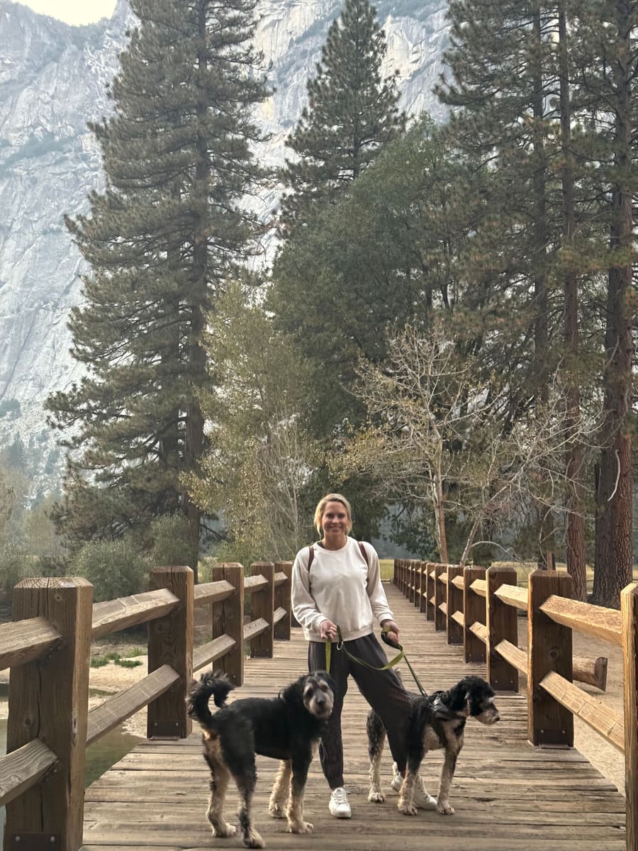 Elisabeth walking two dogs across a wooden bridge in a snowy mountain forest
